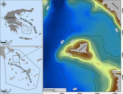 Marine priority habitat mapping in a Mediterranean conservation area (Gyaros, South Aegean) through multi-platform marine remote sensing techniques